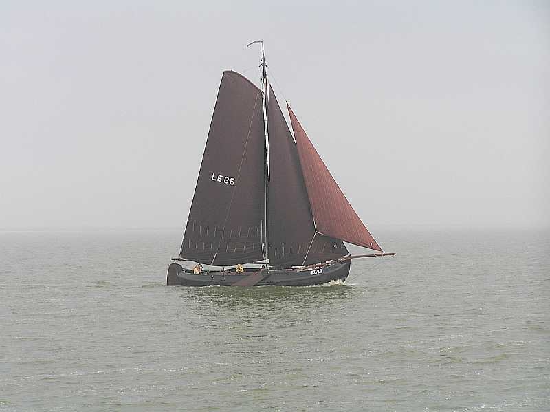 De Pekel  Bolm aak LE66